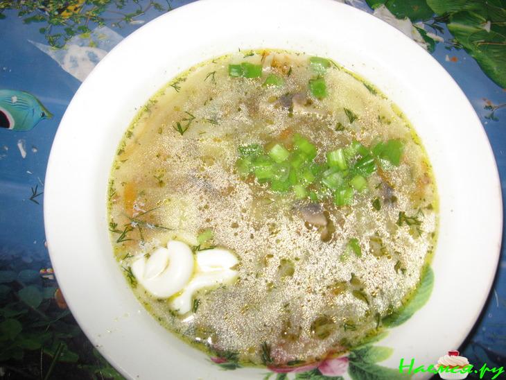 Щи сборные с грибами и гречневой крупой Щи сборные с грибами и гречневой крупой