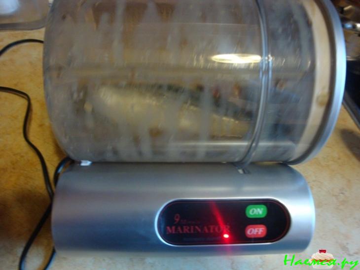 Скумбрия в маринаторе