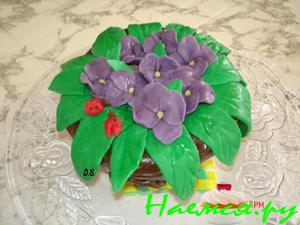 Торт "Горшочек с фиалками"