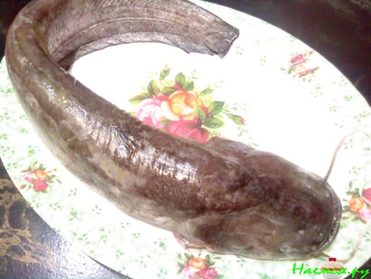 Сом фаршированный 