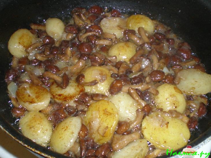 Опята с молодой картошечкой