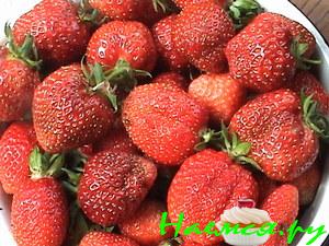 Удачный завтрак