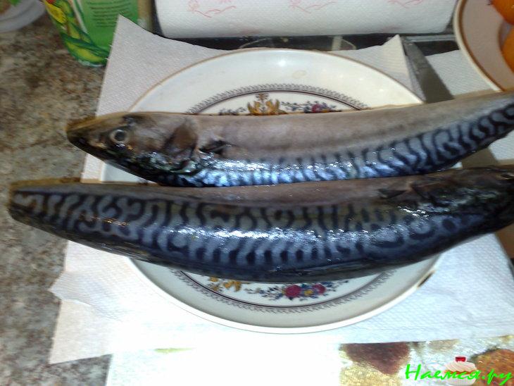 Скумбрия фаршированная сыром и зеленью