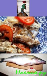 Судак от SCORPY