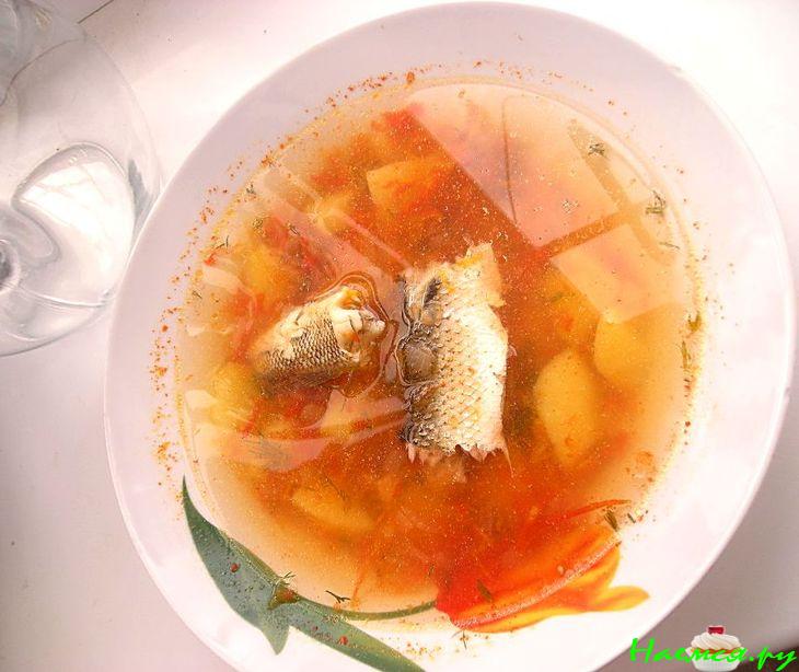 Уха из 4х видов рыб