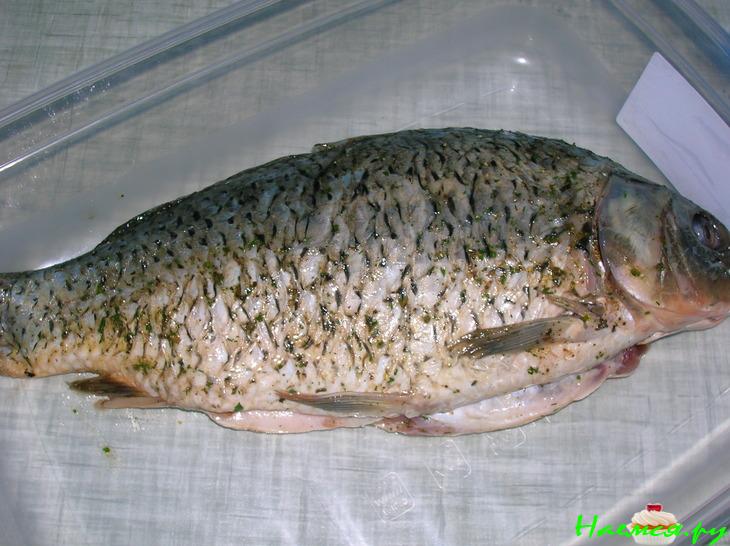 Карп с овощами в базиликовом соусе