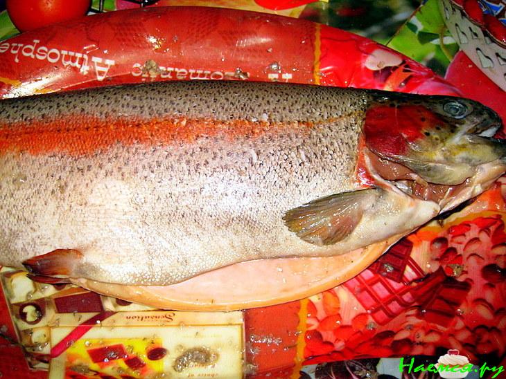 Форель запечёная