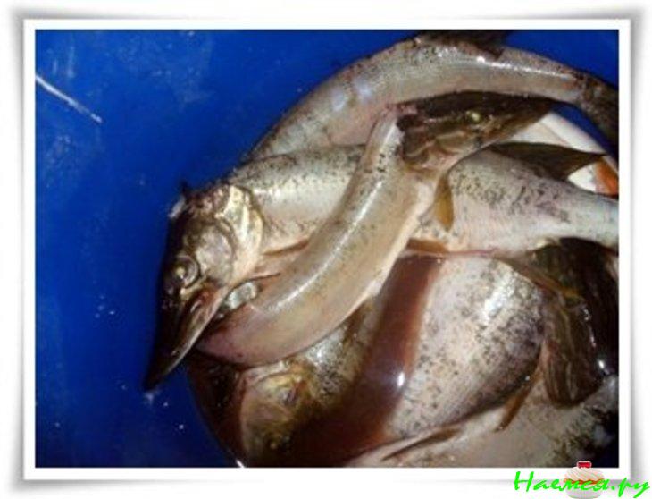 Свежевыловленная речная рыбка, приготовленная на углях