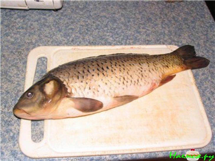 Карп фаршированный