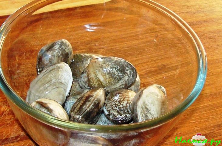 Морские ракушки Морские ракушки