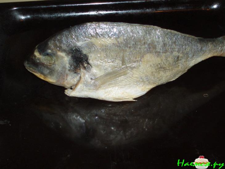 Орато солемарино