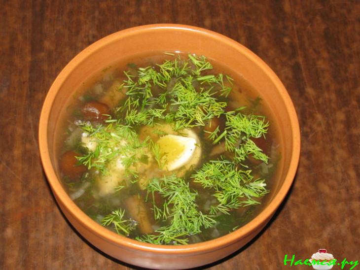 Грибной супчик