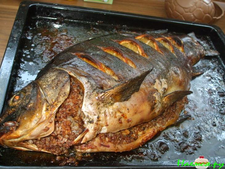 Карп фаршированный гречкой и шампиньонами