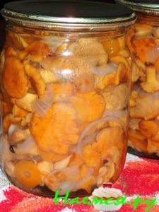 Лисички маринованные