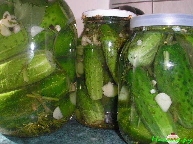 Солёные огурцы в банках