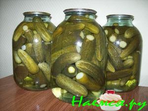 Маринованные огурчики