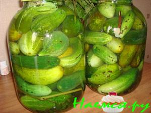 Огурцы соленые в банках