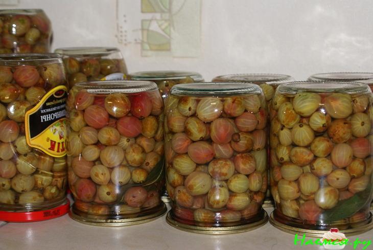 Маринованный крыжовник Маринованный крыжовник