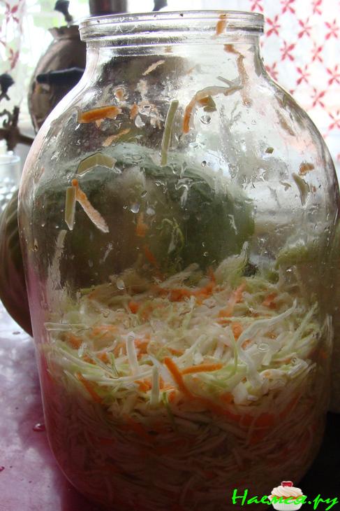 Капуста "Быстрая" Капуста "Быстрая"