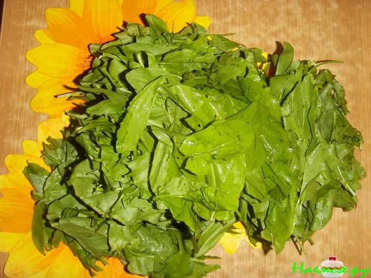 Щавель - заготовка на зиму