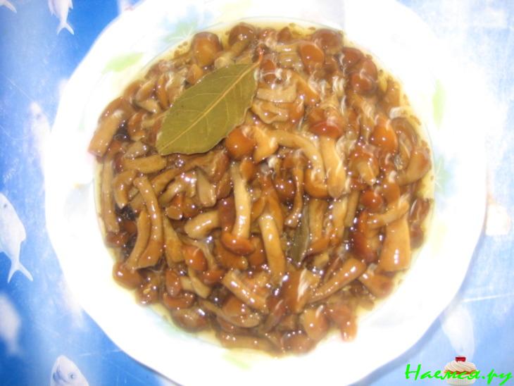 Маринованные опята с зернами горчицы