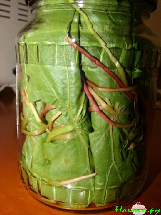 Заготовка для долмы (без воды) Заготовка для долмы (без воды)