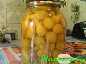 Желтые помидорчики