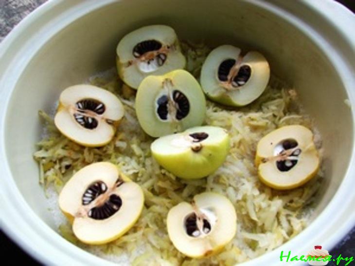 Песнь хеномелеса