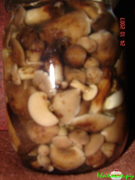 Маринованные опята