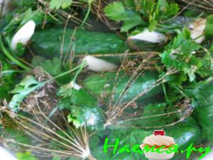 Малосольные огурцы с сухой горчичкой