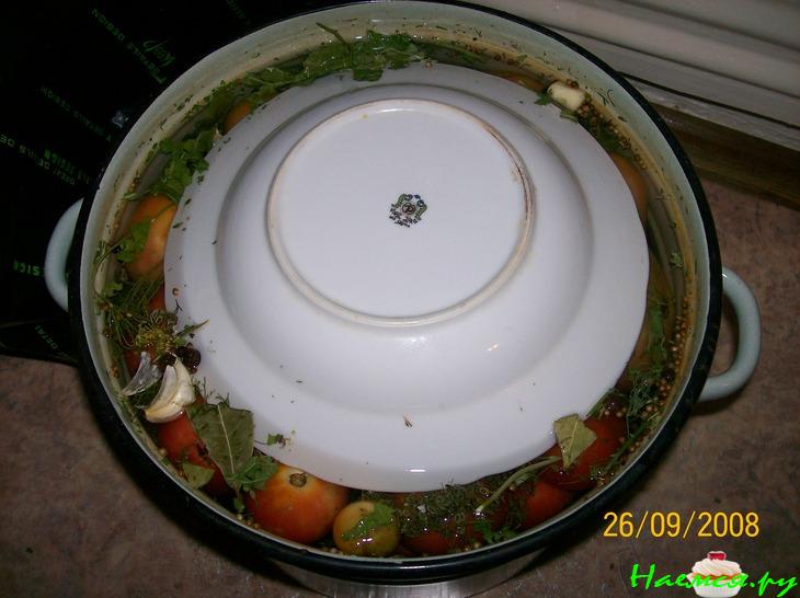 Помидоры соленые разные: зеленые, бурые, красные