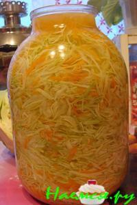 Капуста "Быстрая"