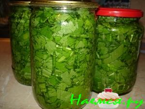 Щавель на зиму