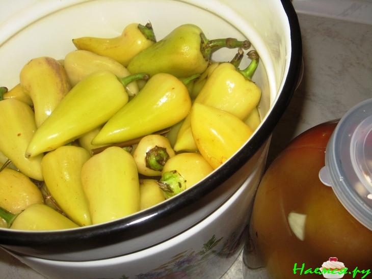 Квашеные перцы Квашеные перцы