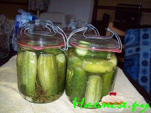 Вкусные солёные огурчики