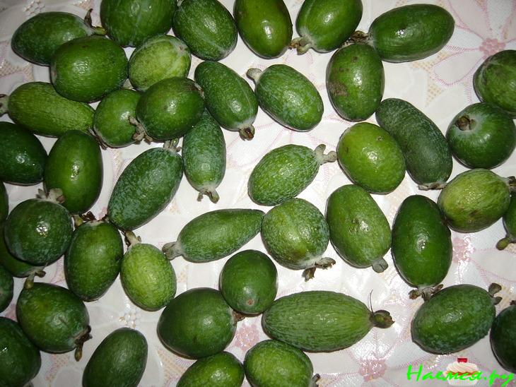 Живое варенье-желе из фейхоа