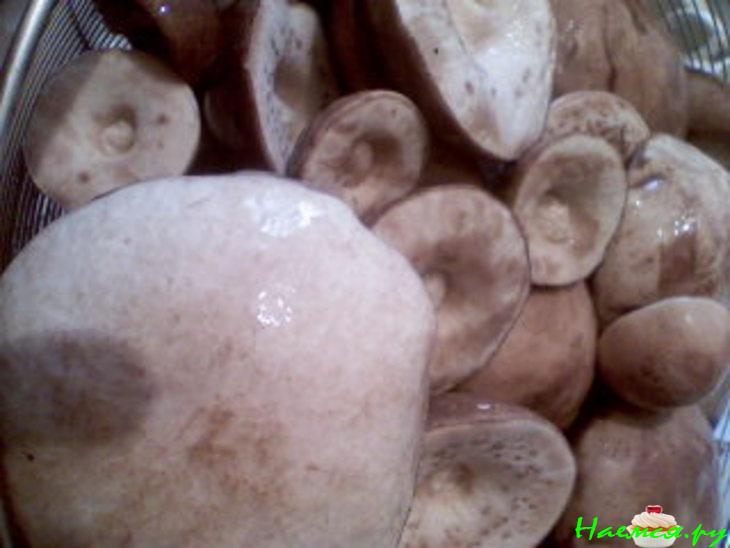 Консервация: "Грибная икра" Консервация: "Грибная икра"