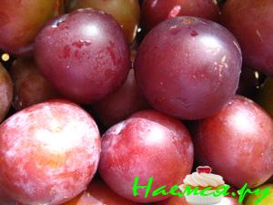 Маринованные сливы с чесноком