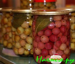 Маринованный крыжовник Маринованный крыжовник