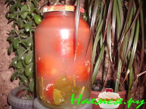 Помидоры в снегу