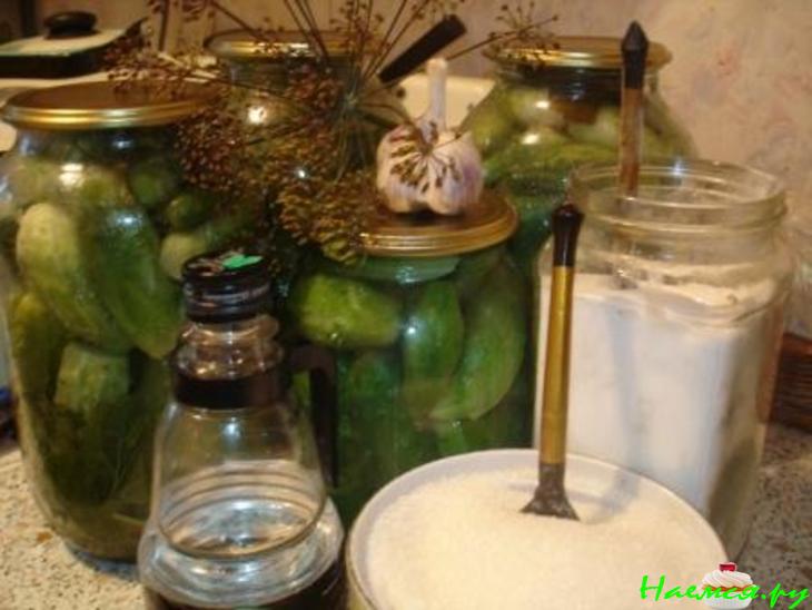 Огурцы для моей семьи или на вкус и цвет... Огурцы для моей семьи или на вкус и цвет...