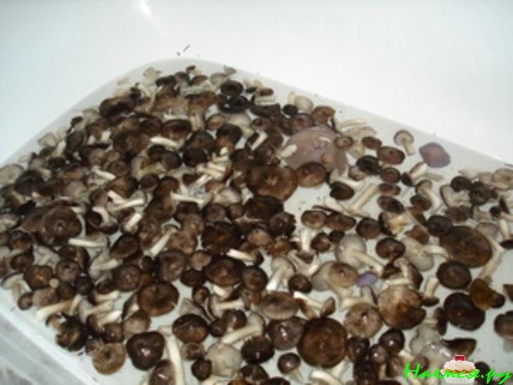 Маринованные грибы в кисло-сладкой заливке 