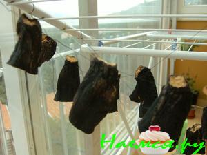 Сушеные баклажаны