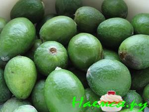 Джем из фейхоа (свежий)