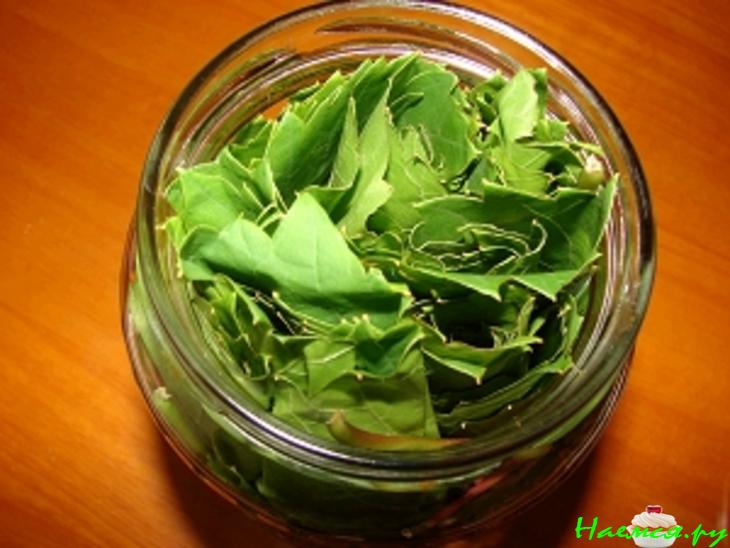 Заготовка для долмы (без воды) Заготовка для долмы (без воды)