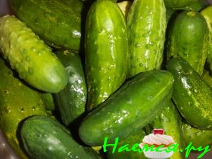 Огурцы соленые "Проще простого" (вариант)