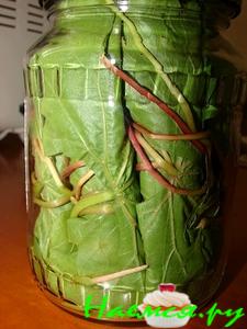 Заготовка для долмы (без воды) Заготовка для долмы (без воды)