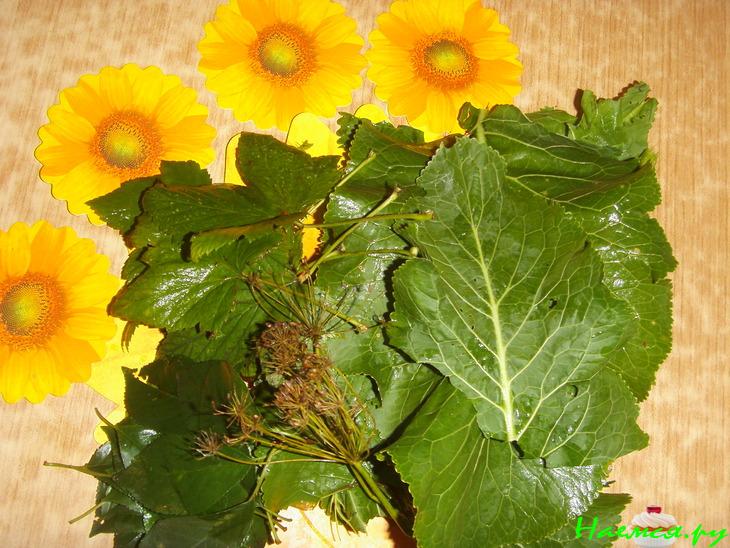 Огурцы соленые "Проще простого" (вариант)