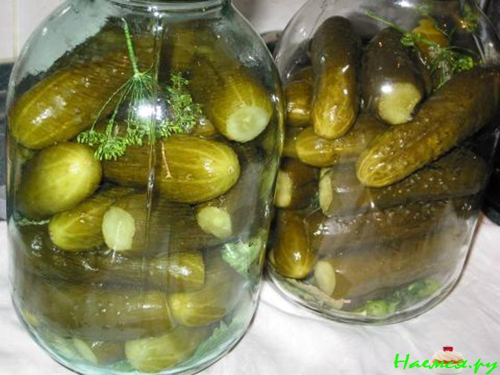 Огурцы соленые консервированные Огурцы соленые консервированные
