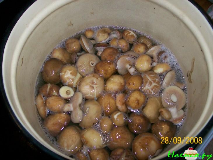 Грибок - в погребок (маринованные маслята)